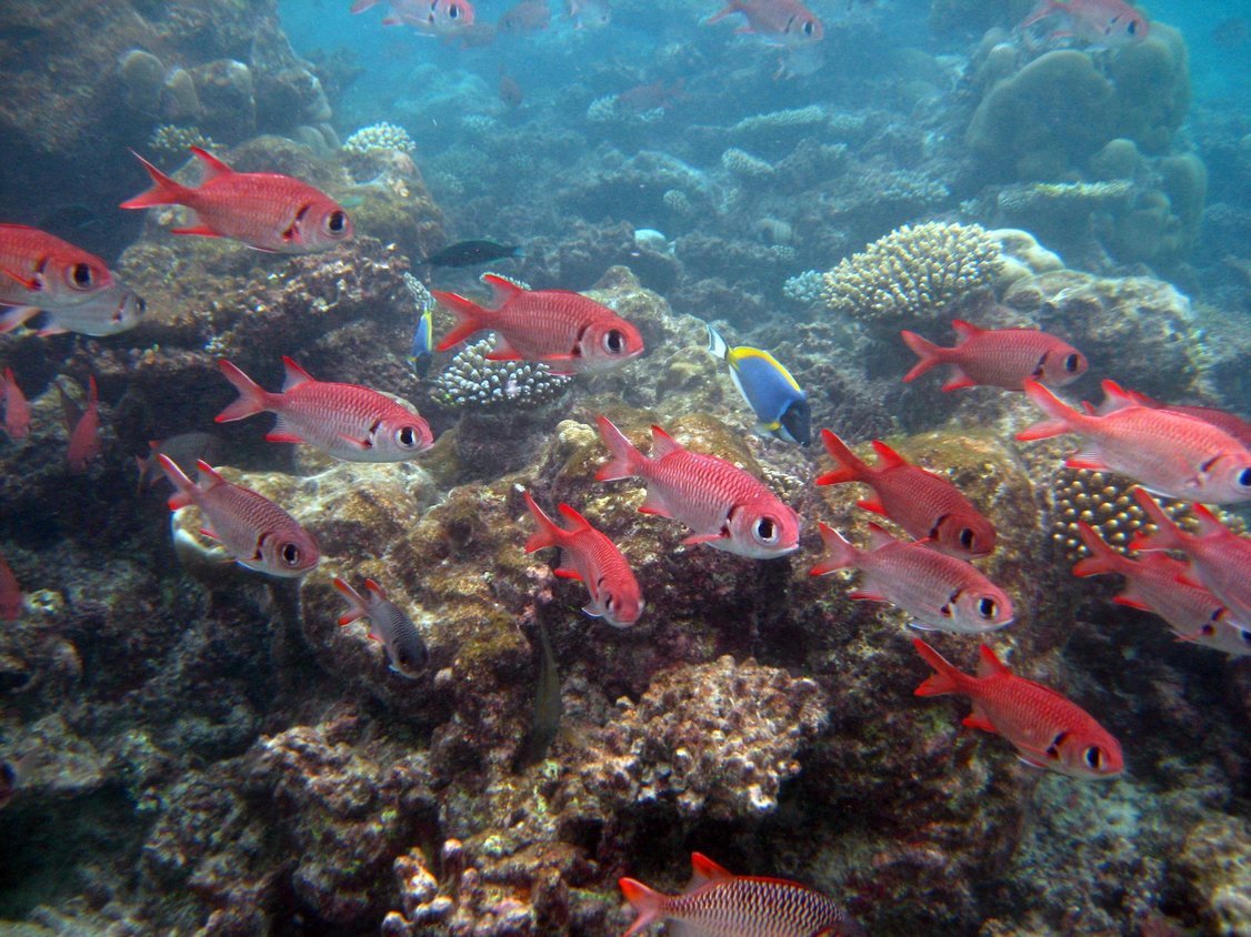 Photo00143